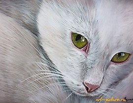 "Cat" acrylic, watercolor paper