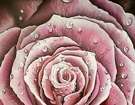 "玫瑰" 丙烯，MDF