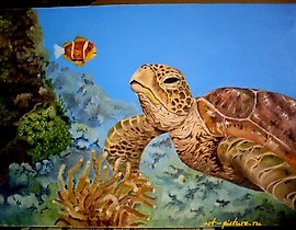 The translation of the text is "TURTLE Oil, canvas."