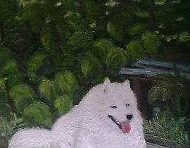 The translation of "белое чудо масло картон" into English is "White Miracle oil cardboard."