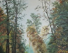 Павловский лес масло, холст 的简体中文翻译是：帕夫洛夫斯基森林 油画，画布