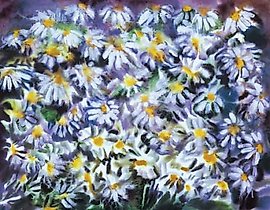 "Daisies Watercolor"
