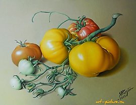 "Yellow tomatoes, canvas, oil"