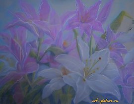 百合 粉彩，纸张