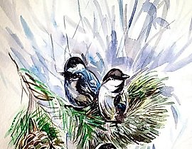 "Titmouse, paper, watercolor"