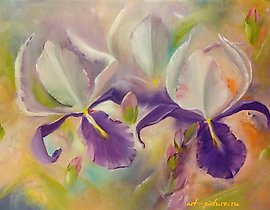 “Ирисы Масло” 可以翻译为 “鸢尾花油”。