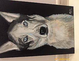 Husky acrylic, canvas