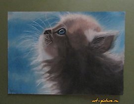 The translation of "Котенок сухая пастель, бумага" into English is "Kitten dry pastel, paper."