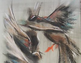 鸟类 粉彩，纸张