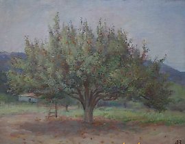 Old Pear. Canvas, oil. 52 x 65 cm.