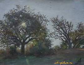 The word "Солнышко" translates to "sunshine" or "little sun" in English. It is often used as a term of endearment.