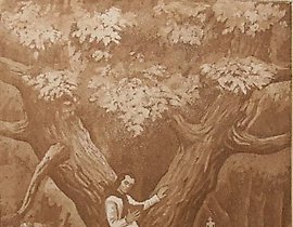 "In the park. T.G. Shevchenko in Sedniv (from the series)"