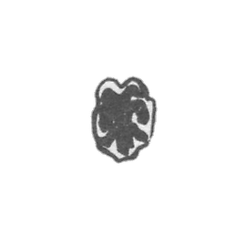 Claymo of the Palace - Moscow - The Two Eagle - 18th century