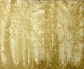 Деревья освещенные солнцем