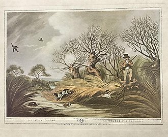 Стрельба по уткам. Мэтью Дюбур, Matthew Dubourg (1786–1838)