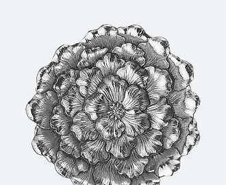 Блюдце buccellati цветок гардении S