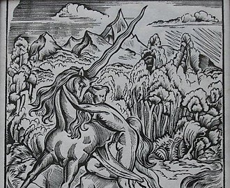 Девушка и Единорог. Линография. 29 х 22 см