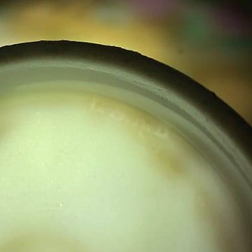 F.S.Batenin的工厂