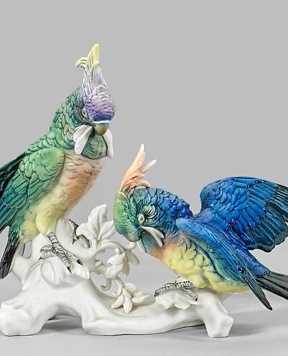 buy C a c a t u s - G r o u p