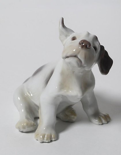 buy A puppy of the Sealyham Terrier. Denmark, Copenhagen, Bing & Grondahl.