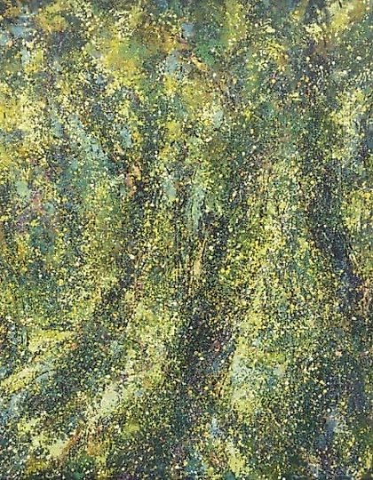 购买 阳光露珠的水珠