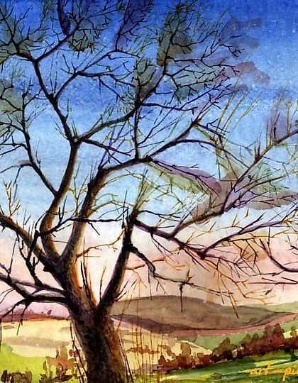 购买 十二月在加拉太 纸,水彩