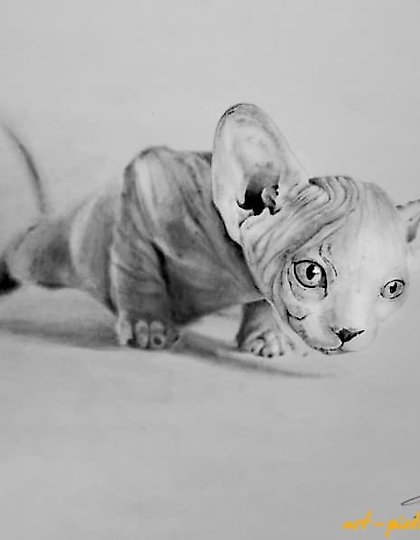 购买 狩猎 笔，纸（阴性）