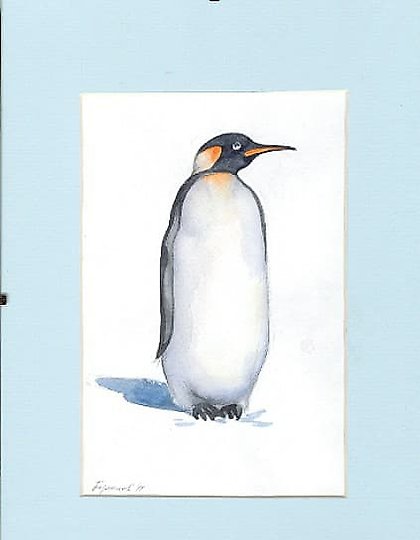 купить ИМПЕРАТОРСКИЙ ПИНГВИН акварель 