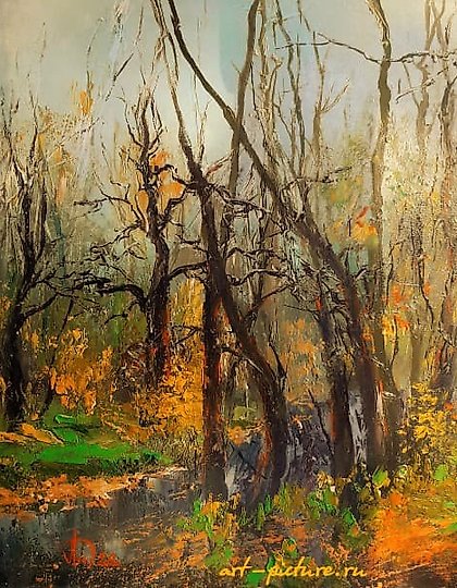 Ручей в весеннем лесу