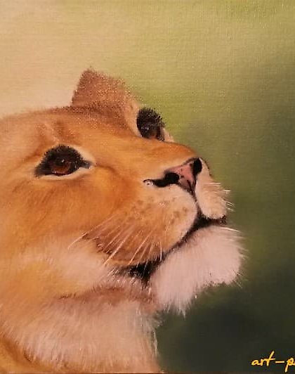 购买 狮子油画，纸板上的画布