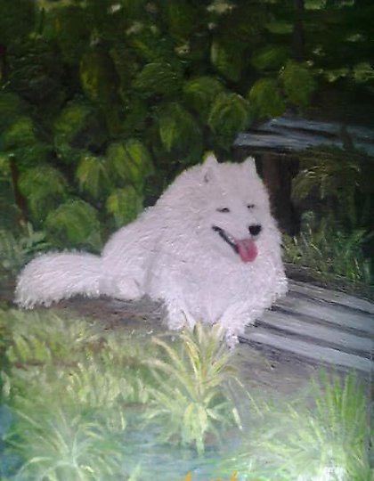 购买 白色奇迹 油 纸板