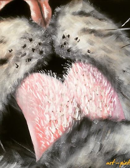 buy "Macro oil, canvas"