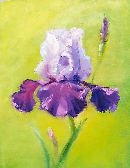 购买 骄傲的鸢尾花 油画,纸板上的画布