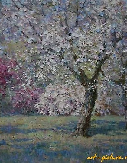 купить Цветущий сад. Холст, масло. 50 х 60 см