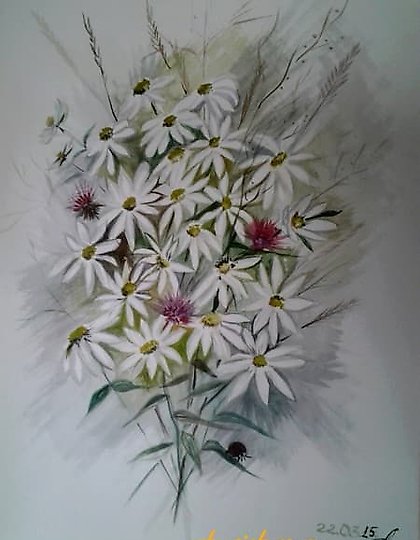 购买 罗马花，纸上水彩