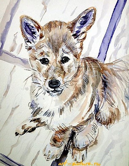 购买 从下面看纸，水彩画