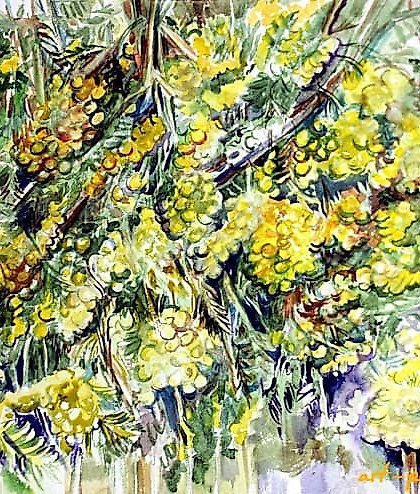 buy "Mimosa paper, watercolor"