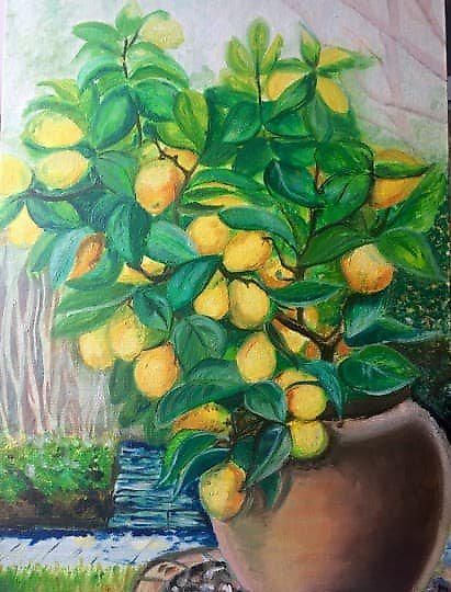 buy Lemon Tree Oil, canvas on hardboard
