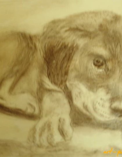 购买 小狗 纸笔