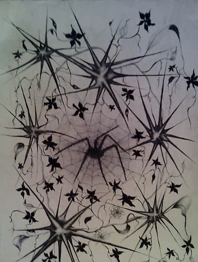 购买 蜘蛛 纸 笔 触控笔