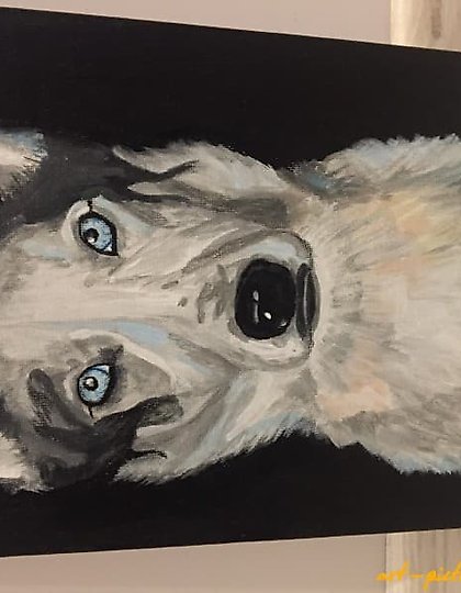 buy Husky acrylic, canvas