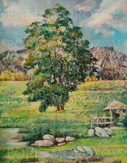 buy "Lonely Poplar" Canvas / Oil