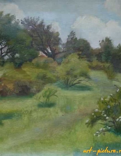 购买 玫瑰花凋谢了