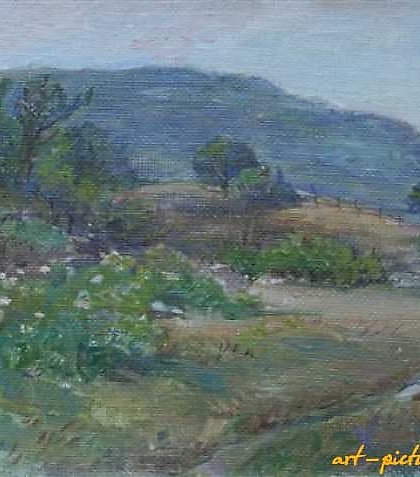 buy The translation of "Сельские окрестности" into English is "Rural surroundings" or "Countryside."