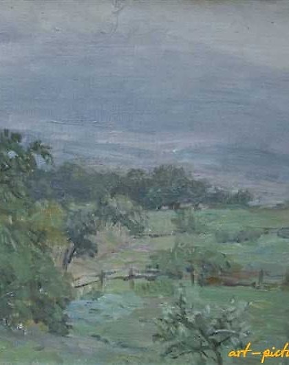 购买 在我们的花园里