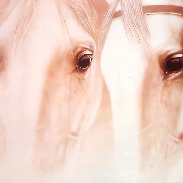 13, 0, oil on canvas, $3.000