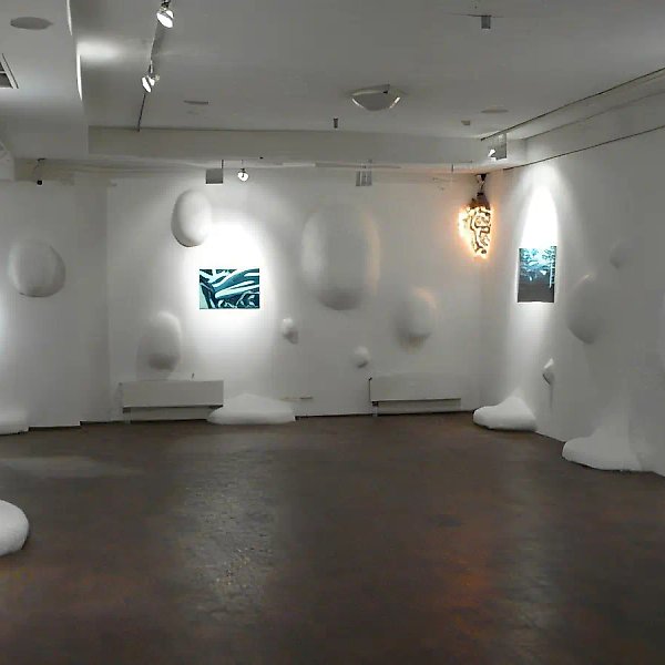 29 трансформаций, 2009, инсталляция