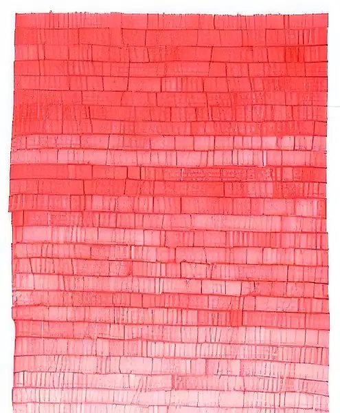 Из серии «1 маркер», 2007, маркер, бумага, 120x180 см