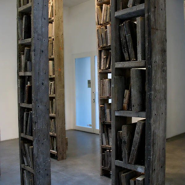Библиотека Пиноккио, 2008, инсталляция, 350x40x30