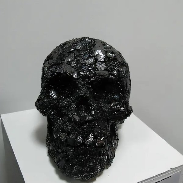 头骨。来自《灵魂打工者》系列，2007年，装置，木炭，树脂